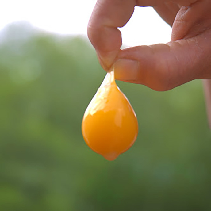 箸でつまめる黄身